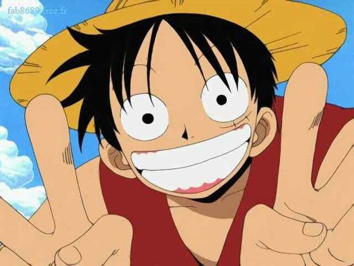 Luffy wanted