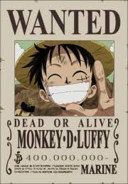 Luffy wanted